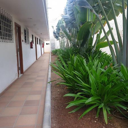 El Apartamento De Concha San Agustín 外观 照片